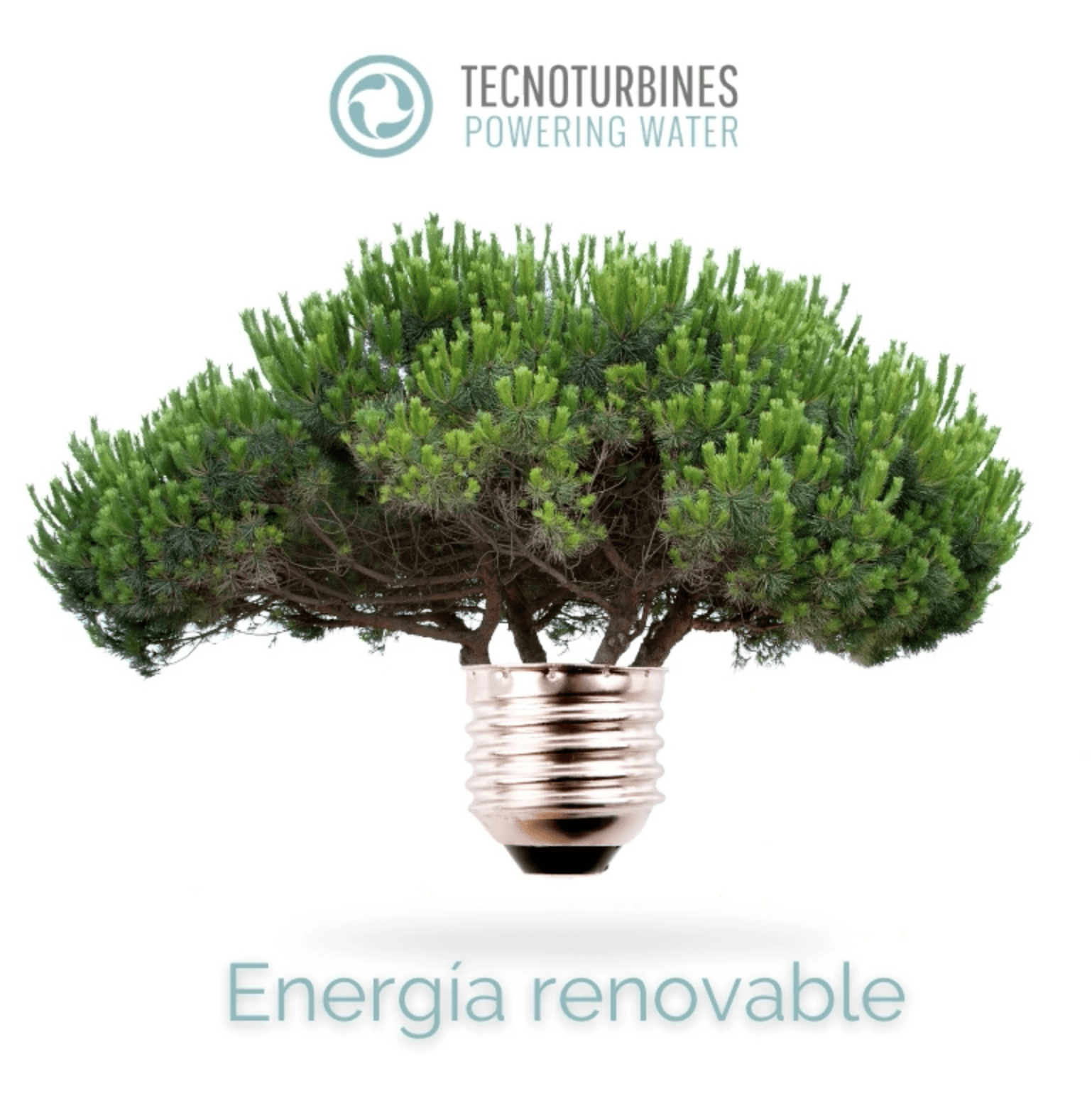 Energía Renovable